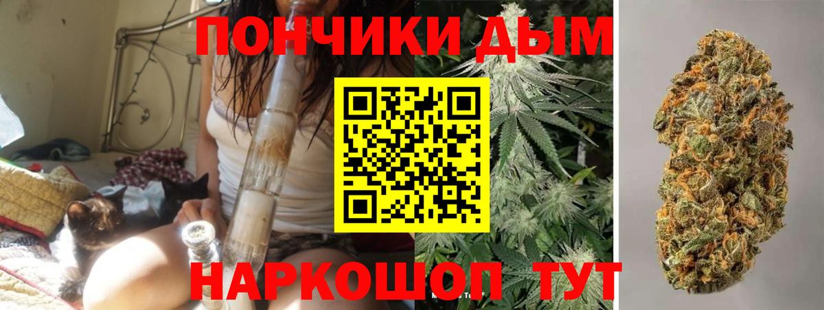 Канабис планчик  Шишки марихуана план  Кумертау  Вход с VPN  Каннабис семена 